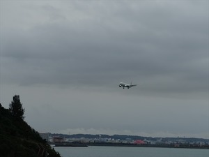 DSC03465_R