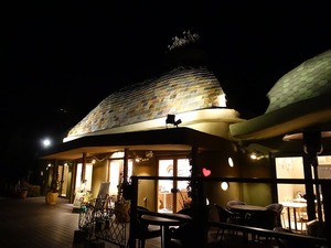 DSC02618_R