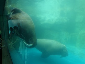DSC05607_R