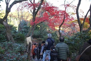 IMG_8999