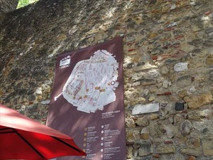 DSC07443_R