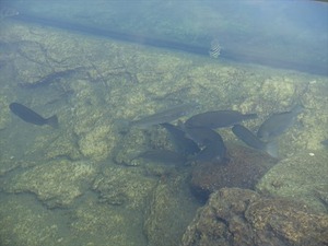 DSC05677_R