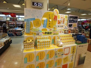 IMG_4241_R