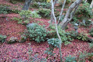IMG_8977