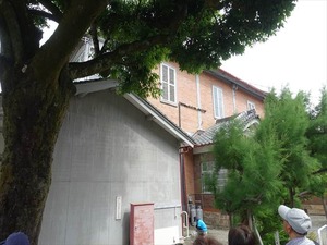 DSC08332_R