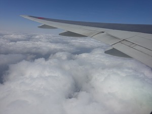 DSC03933_R