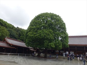 DSC02473_R