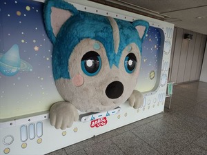 DSC02332_R