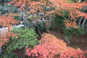 IMG_9007