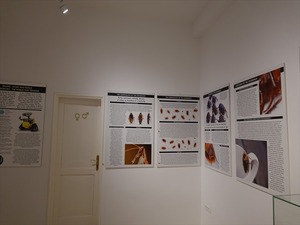 DSC02101_R