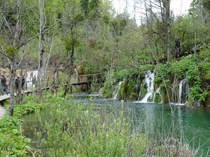 DSC00798_R