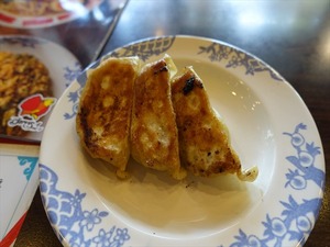 DSC08915_R