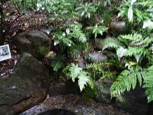 DSC02462_R