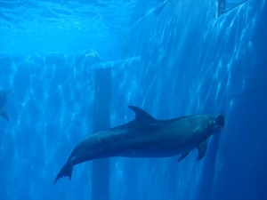 DSC05623_R