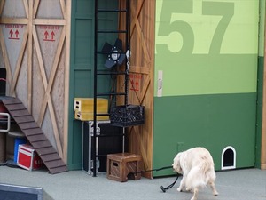 DSC07387_R