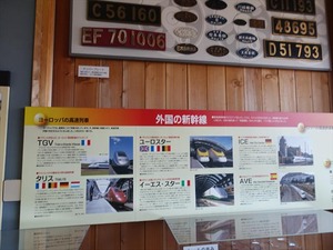 DSC05354_R