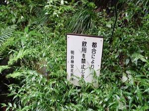 DSC02464_R