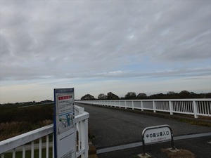 DSC04869_R