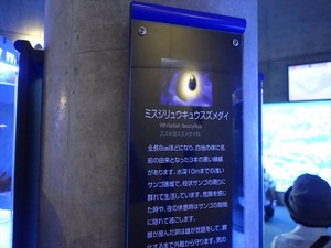 DSC05595_R