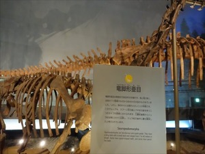DSC05002_R