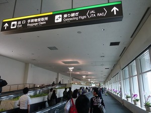 DSC03437_R