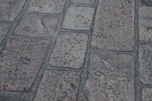 IMG_5953