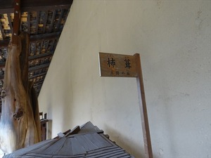 DSC09718_R
