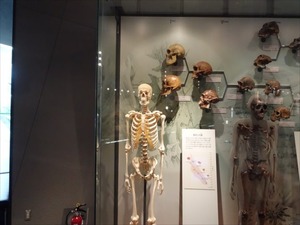 DSC05127_R