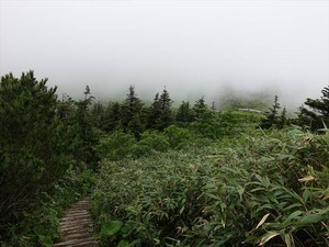 DSC06445_R