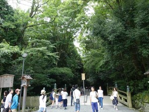 DSC07380_R