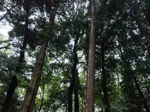 DSC02415_R