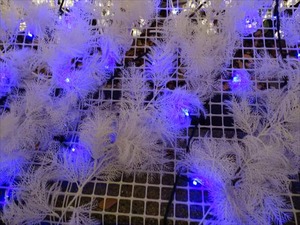 DSC01918_R