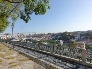 DSC07326_R