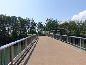 DSC04910_R