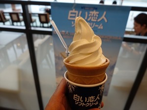 DSC00784_R