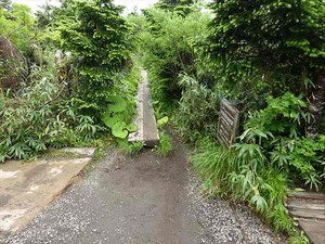 DSC06449_R