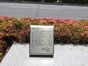 DSC05320_R