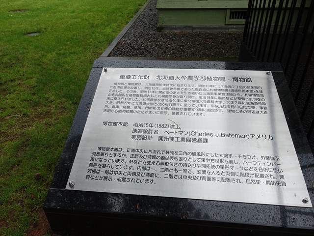 ヒグマのはく製です。