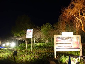 DSC01912_R