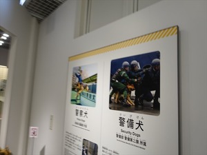 DSC03139_R