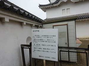 DSC08842_R