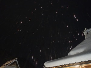 DSC03253_R