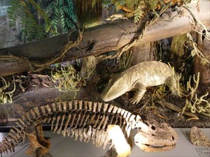 DSC05087_R