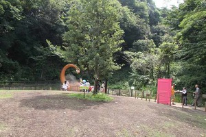 IMG_7202