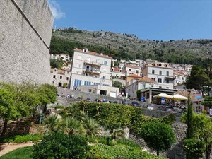 DSC02147_R