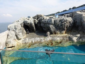 DSC05695_R