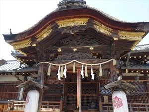 DSC05656_R