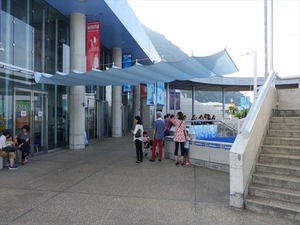 DSC05681_R