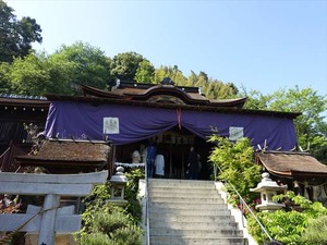 DSC05865_R