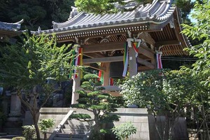 IMG_6573